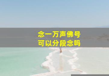 念一万声佛号可以分段念吗