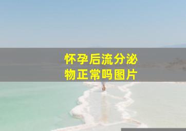 怀孕后流分泌物正常吗图片