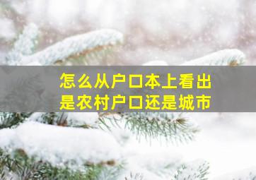 怎么从户口本上看出是农村户口还是城市