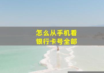 怎么从手机看银行卡号全部