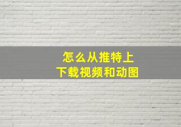 怎么从推特上下载视频和动图