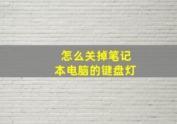 怎么关掉笔记本电脑的键盘灯