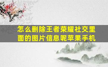 怎么删除王者荣耀社交里面的图片信息呢苹果手机