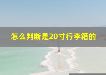 怎么判断是20寸行李箱的