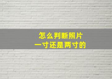 怎么判断照片一寸还是两寸的