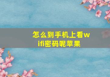 怎么到手机上看wifi密码呢苹果