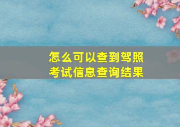 怎么可以查到驾照考试信息查询结果