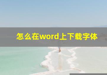 怎么在word上下载字体