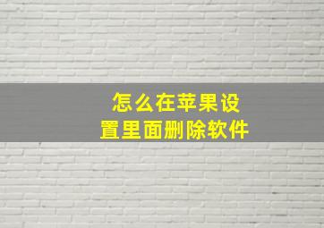 怎么在苹果设置里面删除软件