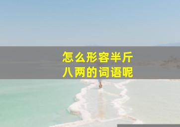 怎么形容半斤八两的词语呢