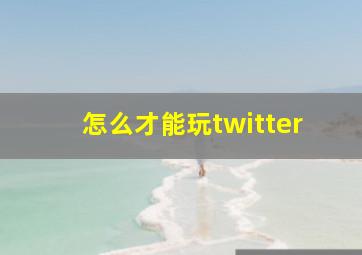 怎么才能玩twitter