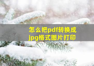 怎么把pdf转换成jpg格式图片打印