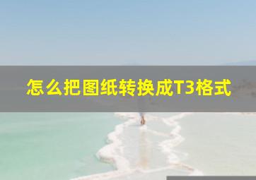 怎么把图纸转换成T3格式