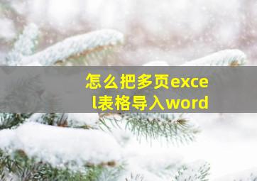 怎么把多页excel表格导入word