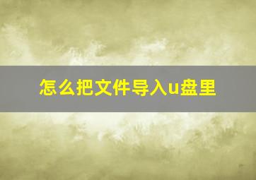 怎么把文件导入u盘里