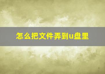 怎么把文件弄到u盘里