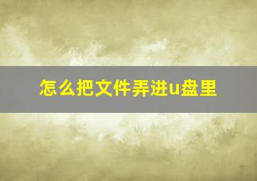 怎么把文件弄进u盘里