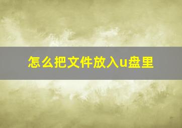 怎么把文件放入u盘里