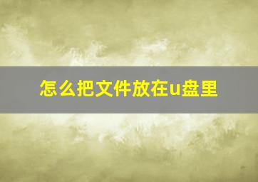 怎么把文件放在u盘里