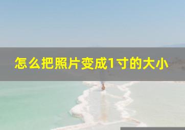 怎么把照片变成1寸的大小