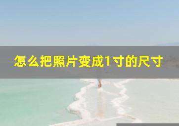 怎么把照片变成1寸的尺寸