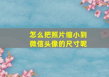 怎么把照片缩小到微信头像的尺寸呢