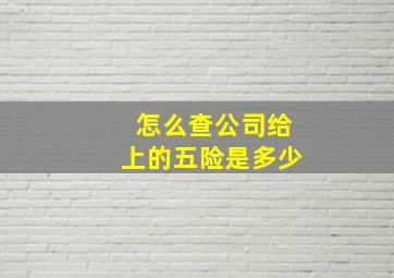 怎么查公司给上的五险是多少