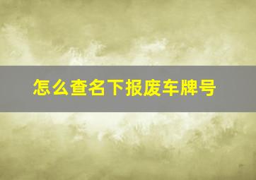 怎么查名下报废车牌号