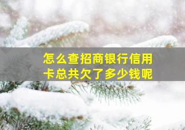 怎么查招商银行信用卡总共欠了多少钱呢