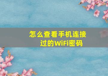 怎么查看手机连接过的WiFi密码