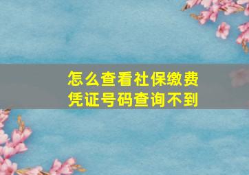 怎么查看社保缴费凭证号码查询不到