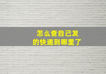 怎么查自己发的快递到哪里了