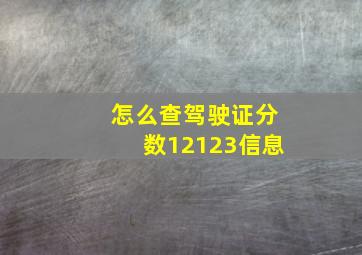 怎么查驾驶证分数12123信息