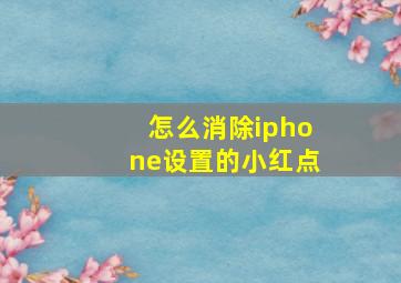 怎么消除iphone设置的小红点