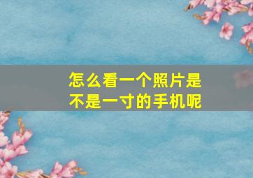 怎么看一个照片是不是一寸的手机呢