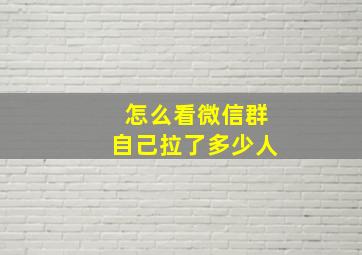 怎么看微信群自己拉了多少人