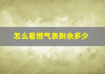 怎么看燃气表剩余多少