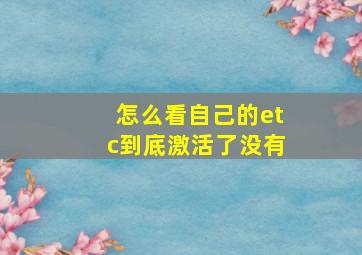 怎么看自己的etc到底激活了没有