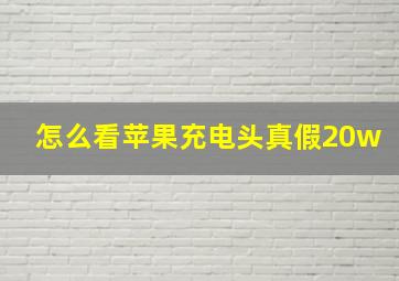 怎么看苹果充电头真假20w