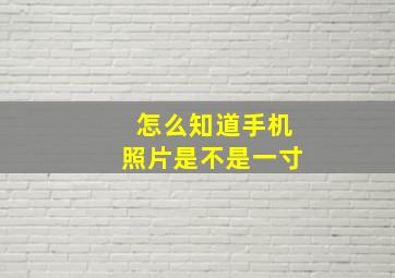 怎么知道手机照片是不是一寸