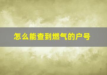 怎么能查到燃气的户号