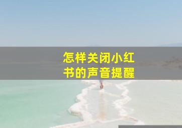 怎样关闭小红书的声音提醒