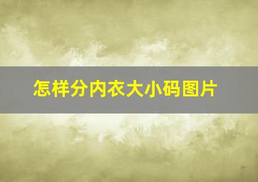 怎样分内衣大小码图片