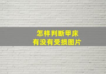 怎样判断甲床有没有受损图片