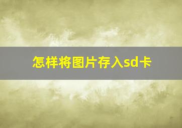 怎样将图片存入sd卡