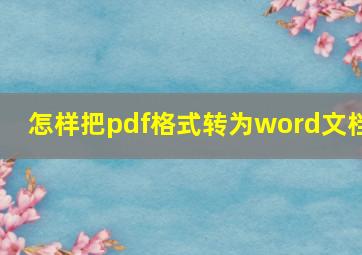 怎样把pdf格式转为word文档