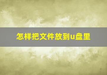 怎样把文件放到u盘里