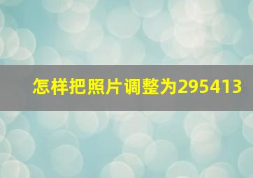 怎样把照片调整为295413