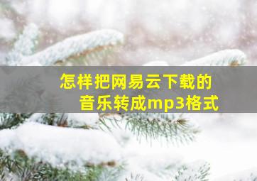 怎样把网易云下载的音乐转成mp3格式