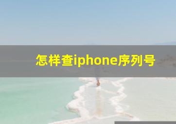 怎样查iphone序列号